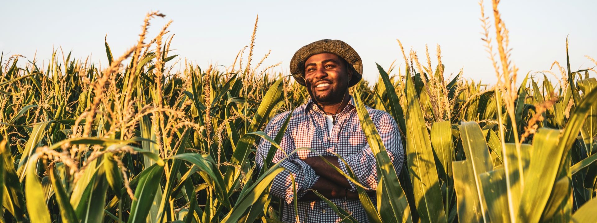 Is this the future of farming?