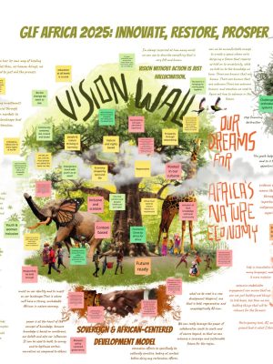 GLF Africa Vision Wall
