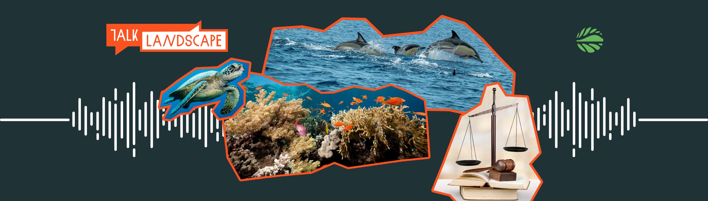 Can we save the high seas?